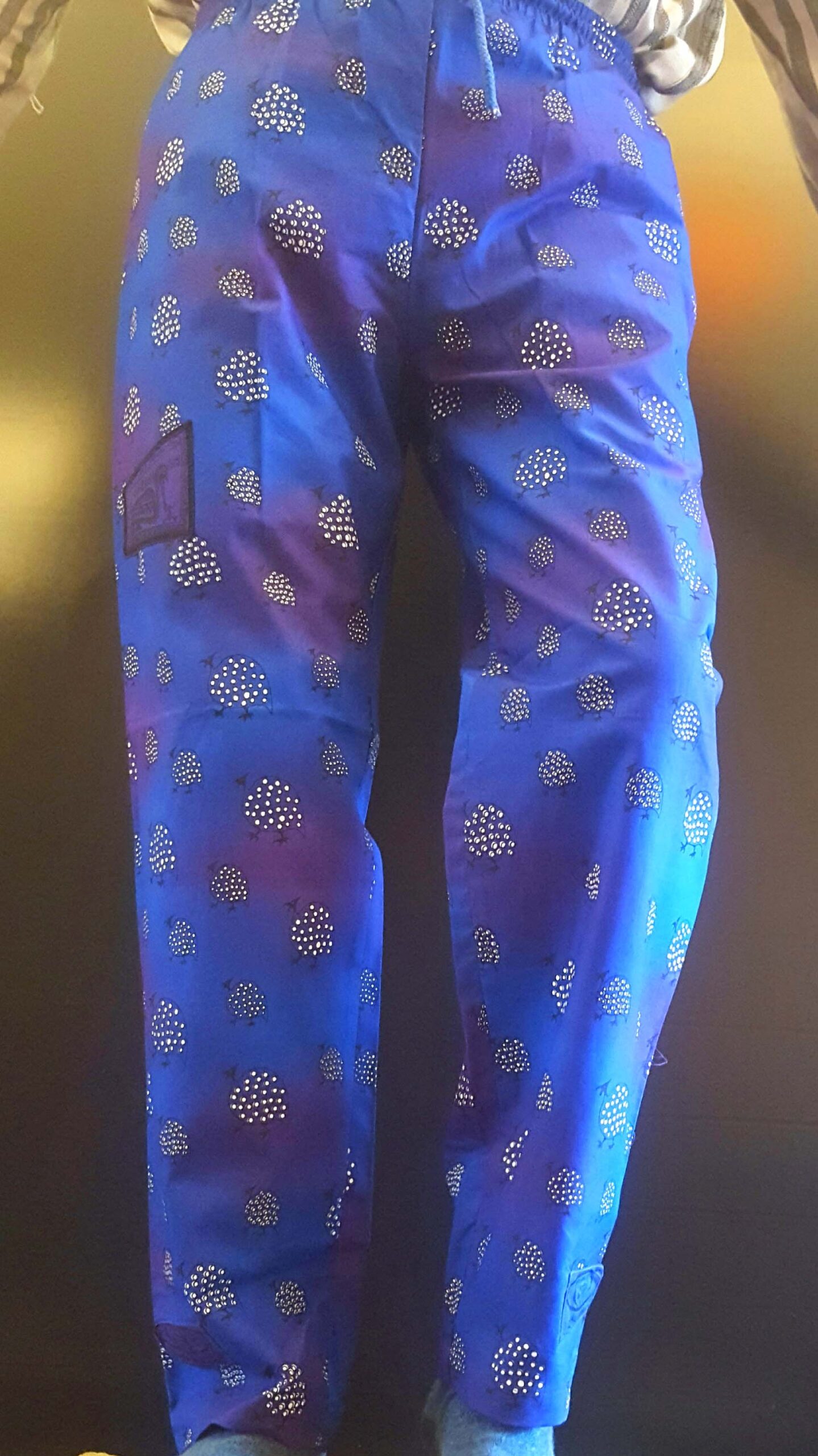 Guinea fowl Blue purple